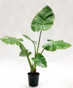 Kunstplant Alocasia 121cm 